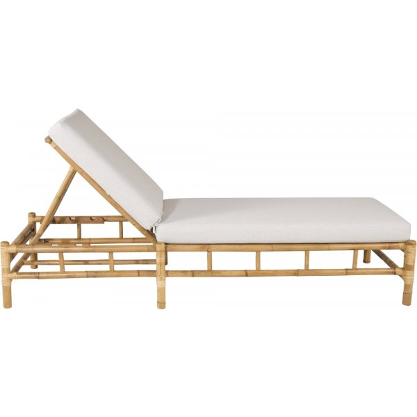 Cane solseng - Gr/rotting